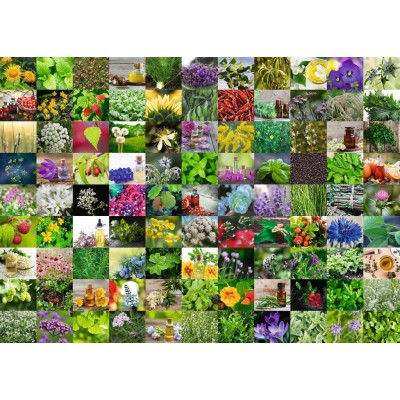 Herbes Et Epices Teile Ravensburger Puzzle Acheter En Ligne