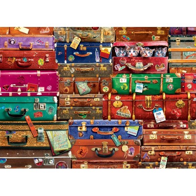 acheter valise en ligne