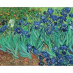 Puzzle  Pomegranate-AA331 Van Gogh Vincent - Iris