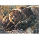 Puzzle  Cobble-Hill-54624 Pièces XXL - Grizzly Family