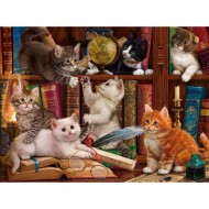 Puzzle  Sunsout-42962 Chatons dans la Librairie