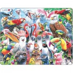  Larsen-CZ5 Puzzle Cadre - De joyeux oiseaux du monde entier
