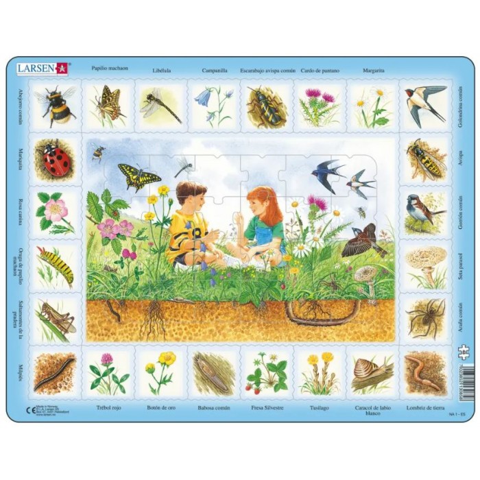  Larsen-NA1-ES Puzzle Cadre - Puzzle Nature - Champs (Espagnol)