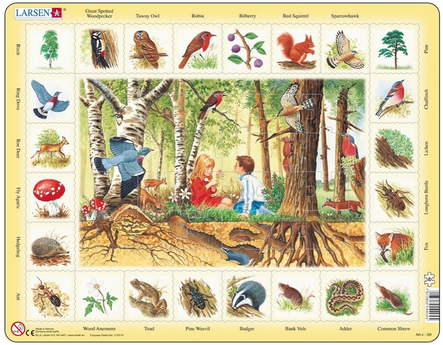 Puzzle Cadre - Carte de l'Europe (en Allemand) - 48 Teile - LARSEN Puzzle  acheter en ligne