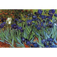 Puzzle  Grafika-F-31597 Van Gogh Vincent : Les Iris, 1889