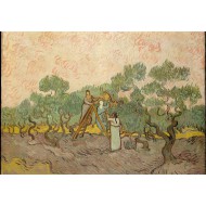 Puzzle  Grafika-F-31637 Van Gogh Vincent : Femmes ramassant des Olives, 1889
