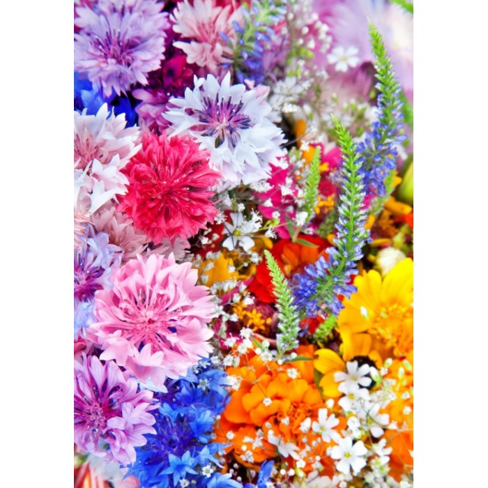 Puzzle  Grafika-F-31641 Explosion de Fleurs