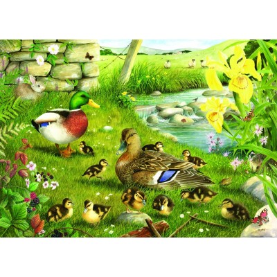 Puzzle The-House-of-Puzzles-1608 Pièces XXL - Ducks To Water