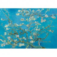 Puzzle  Art-by-Bluebird-60007 Vincent Van Gogh - Almond Blossom, 1890