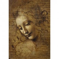 Puzzle  Art-by-Bluebird-F-60307 Leonardo da Vinci - La Scapigliata, 1506-1508