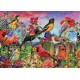 Birds and Blooms Garden
