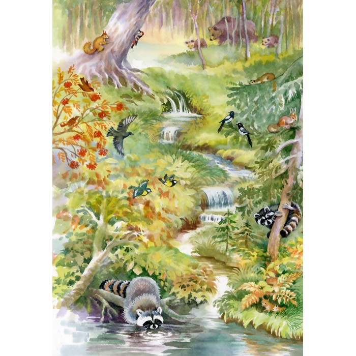 Puzzle  Bluebird-Puzzle-F-90135 Forest Animals