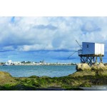 Puzzle  Bluebird-Puzzle-F-90542 Carrelet & Royan