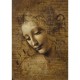 Leonardo da Vinci - La Scapigliata, 1506-1508