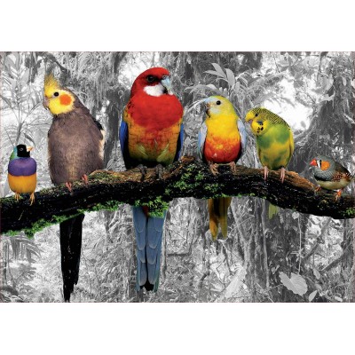 Puzzle Educa-17984 Oiseaux dans la Jungle