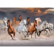 Puzzle  Jumbo-18864 Desert Horses