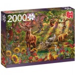 Puzzle  Jumbo-18868 Forêt Magique au Coucher du Soleil