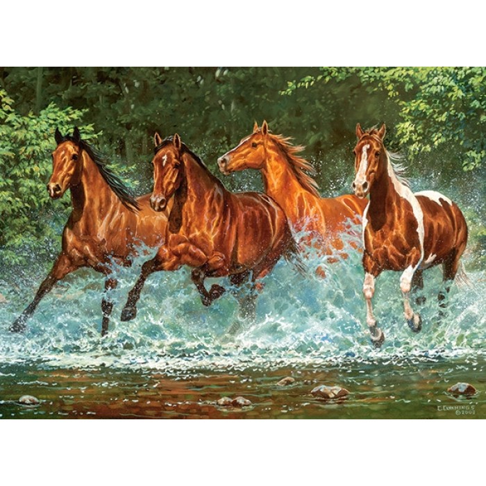 Puzzle Castorland-030361 Course de la Cascade