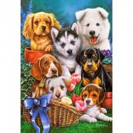 Puzzle  Castorland-104048 Puppies