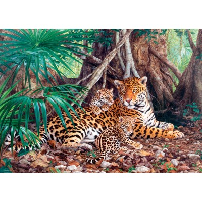 Puzzle Castorland-300280 Jaguars dans la jungle