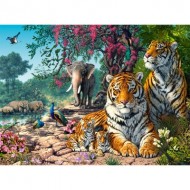 Puzzle  Castorland-300600 Le Sanctuaire des Tigres