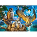 Puzzle  Castorland-53322 Owl Family