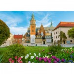 Puzzle  Castorland-53599 Wawel Castle, Cracovie, Pologne