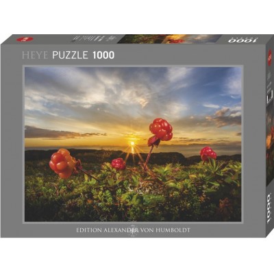 Puzzle Heye-30016 Cloudberries