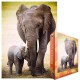 Éléphant et bébé