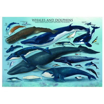 Puzzle Eurographics-6000-0082 Baleines & dauphins