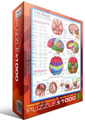 Puzzle Eurographics-6000-0256 Le cerveau