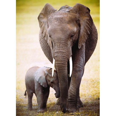 Puzzle Eurographics-6000-0270 Éléphant et bébé