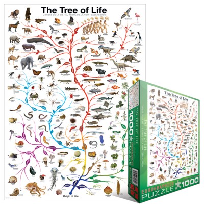 Puzzle Eurographics-6000-0282 Évolution