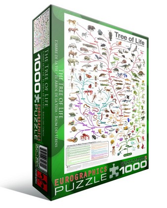 Puzzle Eurographics-6000-0282 Évolution