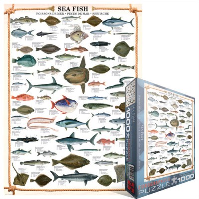 Puzzle Eurographics-6000-0313 Poissons marins