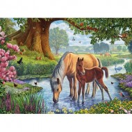 Puzzle  Eurographics-6000-0976 Steve Crisp - The Fell Ponies