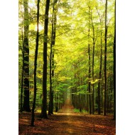 Puzzle  Eurographics-6000-3846 Chemin forestier