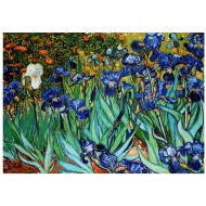 Puzzle  Eurographics-6000-4364 Les Iris