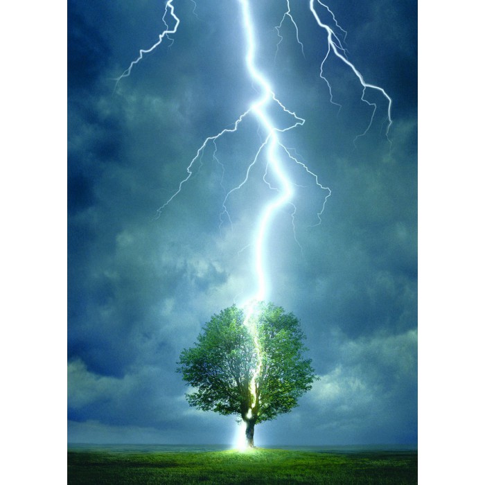 Puzzle Eurographics-6000-4570 Point d'impact d'éclair sur l'arbre