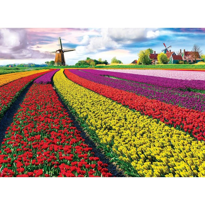 Puzzle  Eurographics-6000-5326 Champ de Tulipes aux Pays-Bas