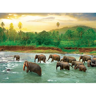 Puzzle Eurographics-6000-5540 Save our Planet Collection - Forêt Tropicale