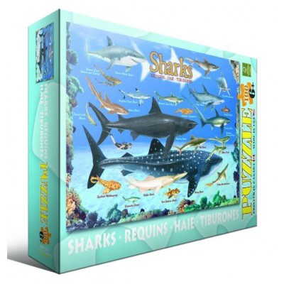 Puzzle Eurographics-6100-0079 Requins