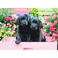 Puzzle  Eurographics-6500-5462 Pièces XXL - Labradors Noirs dans une Boîte Rose
