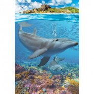 Puzzle  Eurographics-8251-5560 Save the Planet - Dolphins