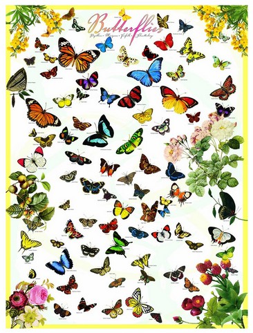Puzzle Eurographics-8500-0077 Papillons
