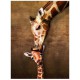 Le baiser de maman Girafe