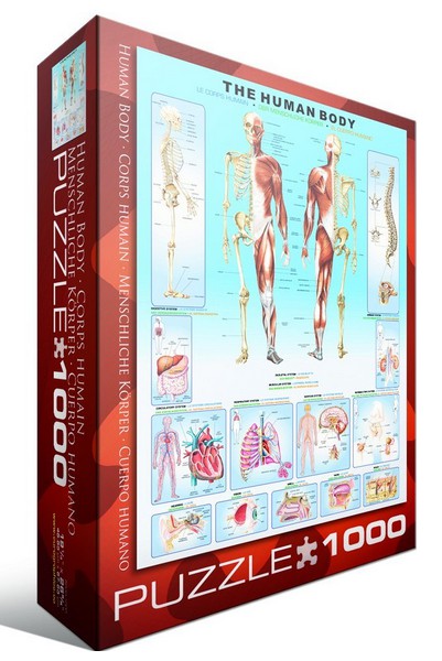 JYSHC Puzzle 1000 Pièces Assemblage en Bois Image Anatomie Corps