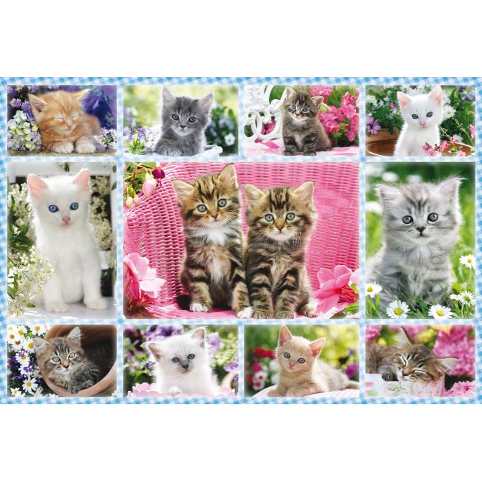 Puzzle  Schmidt-Spiele-56135 Chatons