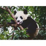 Puzzle  Ravensburger-00351 Le Panda