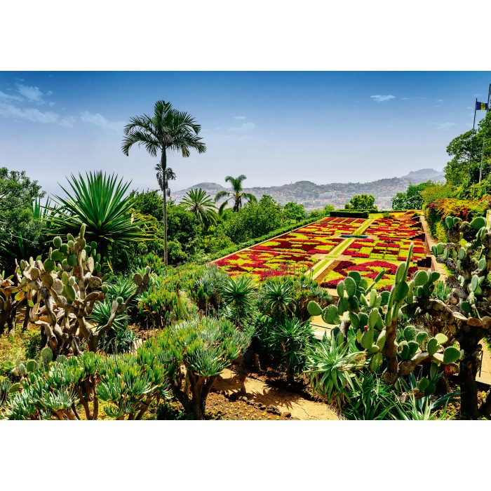 Puzzle  Ravensburger-00853 Jardin Botanique, Madère